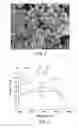 Fig. 04 - TEMPLATED CATALYST COMPOSITION AND ASSOCIATED METHOD