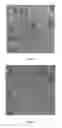 Fig. 02 - METHODS FOR MITIGATING AGGLOMERATION OF CARBON NANOSPHERES USING A CRYSTALLIZING DISPERSANT