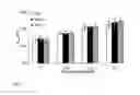 Fig. 02 - FUNCTIONALIZED SOLID POLYMER NANOPARTICLES FOR DIAGNOSTIC AND THERAPEUTIC APPLICATIONS