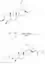 Fig. 45 - COMPOSITIONS COMPRISING BETULONIC ACID