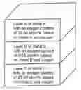 Fig. 01 - Multi-layer metallic effect pigments, process for their preparation and use