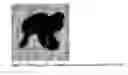 Fig. 02 - BIOACTIVE ANILINE COPOLYMERS