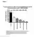 Fig. 08 - METHODS OF TREATING CANCER BY ADMINISTERING HUMAN IL-18 COMBINATIONS