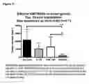 Fig. 28 - METHODS OF TREATING CANCER BY ADMINISTERING HUMAN IL-18 COMBINATIONS