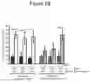 Fig. 07 - Interferon alpha sequential regimen for treating cancers