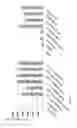 Fig. 06 - Viral particles encoding multifunctional cytokines