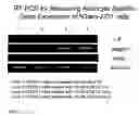 Fig. 08 - METHOD AND SYSTEM FOR BIASING CELLULAR DEVELOPMENT