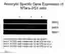 Fig. 09 - METHOD AND SYSTEM FOR BIASING CELLULAR DEVELOPMENT