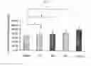 Fig. 06 - COMPOSITION FOR TREATING ISCHEMIC LIMB DISEASE COMPRISING STEM CELLS DERIVED FROM ADIPOSE TISSUE