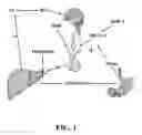 Fig. 02 - Methods for promoting growth and survival of insulin-secreting cells