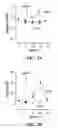 Fig. 03 - Methods for promoting growth and survival of insulin-secreting cells