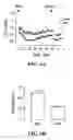 Fig. 07 - Methods for promoting growth and survival of insulin-secreting cells