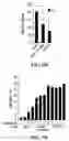 Fig. 17 - Methods for promoting growth and survival of insulin-secreting cells