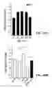 Fig. 18 - Methods for promoting growth and survival of insulin-secreting cells