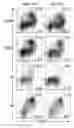 Fig. 01 - MODIFIED DENDRITIC CELLS HAVING ENHANCED SURVIVAL AND IMMUNOGENICITY AND RELATED COMPOSITIONS AND METHODS