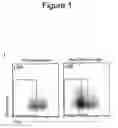 Fig. 06 - Methods and compositions for stem cell self-renewal