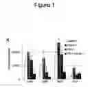 Fig. 08 - Methods and compositions for stem cell self-renewal