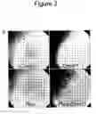 Fig. 09 - Methods and compositions for stem cell self-renewal