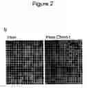 Fig. 10 - Methods and compositions for stem cell self-renewal