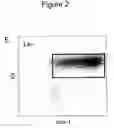 Fig. 12 - Methods and compositions for stem cell self-renewal