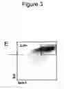 Fig. 20 - Methods and compositions for stem cell self-renewal