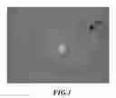 Fig. 02 - Novel Lactobacillus paracasei subsp. paracasei SG96, a Bacteriostatic Composition Containing the same and Use Thereof