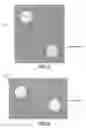 Fig. 07 - Novel Lactobacillus paracasei subsp. paracasei SG96, a Bacteriostatic Composition Containing the same and Use Thereof