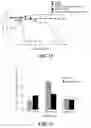 Fig. 10 - Novel Lactobacillus paracasei subsp. paracasei SG96, a Bacteriostatic Composition Containing the same and Use Thereof
