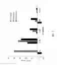 Fig. 02 - COMPOSITIONS AND METHODS FOR TREATING PANCREATIC INSUFFICIENCY