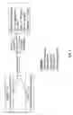 Fig. 02 - BONE GRAFTS WITH REDUCED PROTEASE ACTIVITY AND METHODS OF SELECTION AND USE