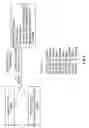 Fig. 09 - BONE GRAFTS WITH REDUCED PROTEASE ACTIVITY AND METHODS OF SELECTION AND USE