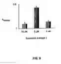 Fig. 09 - Immunophilin Ligands and Methods for Modulating Immunophilin and Calcium Channel Activity