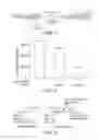 Fig. 02 - Microrna modulators and method for identifying and using the same