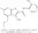 Fig. 91 - Microrna modulators and method for identifying and using the same
