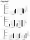 Fig. 07 - Human monoclonal antibody human CD134 (OX40) and methods of making and using same