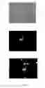 Fig. 06 - Engineered scFv against bovine herpes virus type I