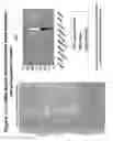 Fig. 09 - METHODS OF TREATING, DIAGNOSING OR DETECTING CANCER