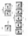 Fig. 09 - Five-helix protein