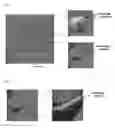 Fig. 02 - Oil-in-water emulsion composition and method for producing the same