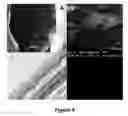 Fig. 08 - MATERIALS AND METHODS FOR DELIVERING COMPOSITIONS TO SELECTED TISSUES
