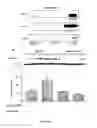 Fig. 07 - Pharmaceutical compositions and methods for treating erectile dysfunction