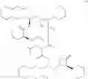 Fig. 09 - ORLISTAT PHARMACEUTICAL FORMULATIONS