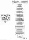 Fig. 02 - Bone growth particles and osteoinductive composition thereof