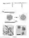 Fig. 02 - ELECTROSTATIC COATING OF PARTICLES FOR DRUG DELIVERY