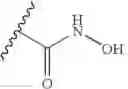 Fig. 44 - Isoform selective HDAC inhibitors