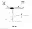 Fig. 41 - Treatment of Wounds and Compositions Employed