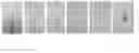 Fig. 01 - POLYETHYLENE FOAM