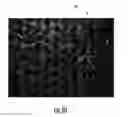 Fig. 09 - QUASI-ISOTROPIC SANDWICH STRUCTURES