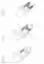 Fig. 04 - Dental implant
