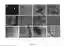 Fig. 02 - Mesenchymal stem cell-mediated function tooth regeneration